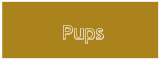 Pups Pups