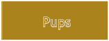 Pups Pups